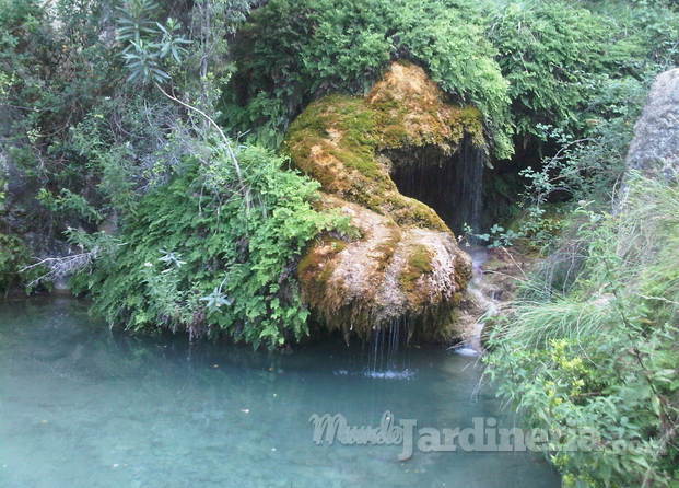 Tratamiento de aguas y mto zonas verdes