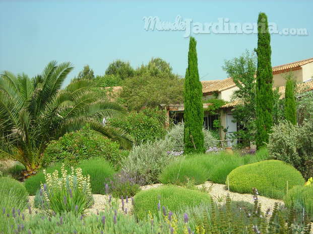 Jardín bajo consumo hídrico