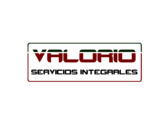 Valorio Servicios Integrales, S. L.