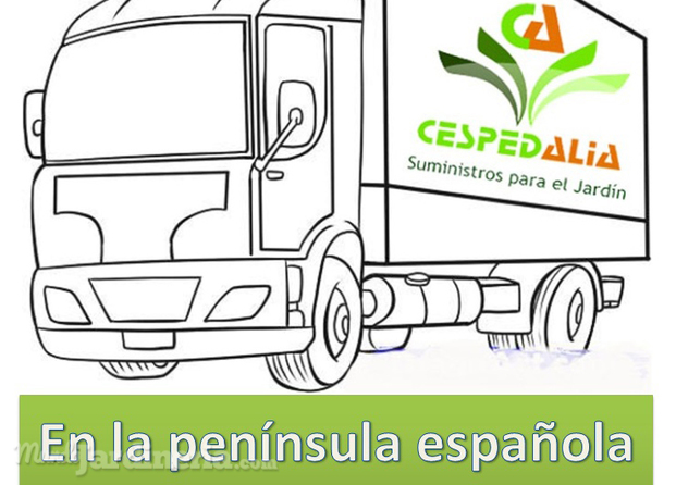 Transporte gratuito