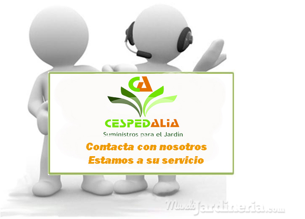 Contacto