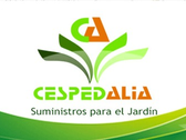 Cespedalia