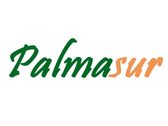 Palmasur