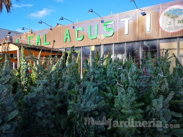 Abetos de navidad Garden Ca l'Agustí Barcelona