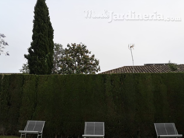 Jardinería en Córdoba 