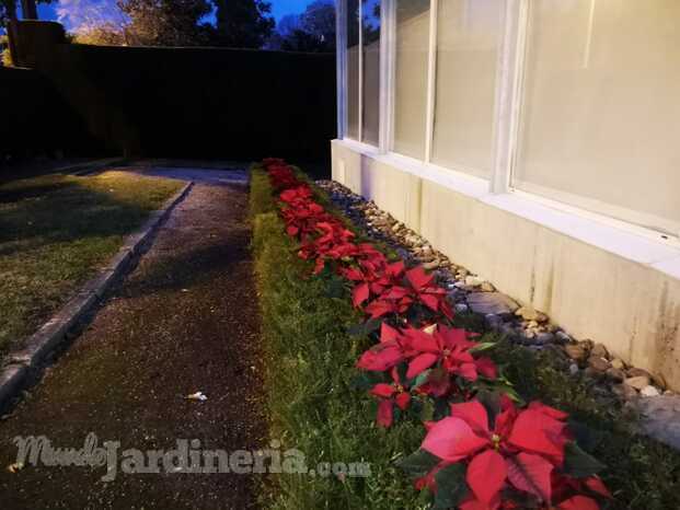 Jardinero Córdoba