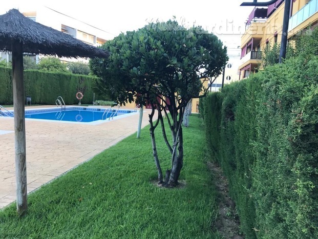 Jardinería en Córdoba