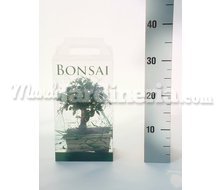 Bonsái Grande En Estuche Transparente Catálogo ~ ' ' ~ project.pro_name