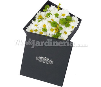 Cajas De Flores