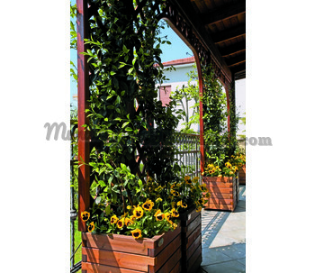 Pérgola Con Cubierta De Madera