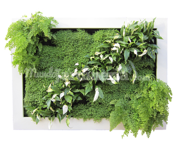 Lienzo Naturado Slimgreenwall