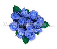 Bouquet Rosas Azul Intenso Preservadas Catálogo ~ ' ' ~ project.pro_name