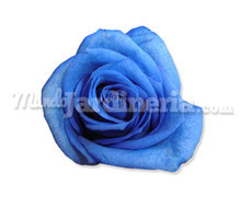 Rosa Azul Individual Catálogo ~ ' ' ~ project.pro_name